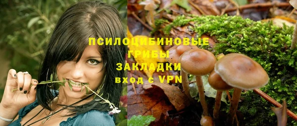 гидропоника Алексеевка